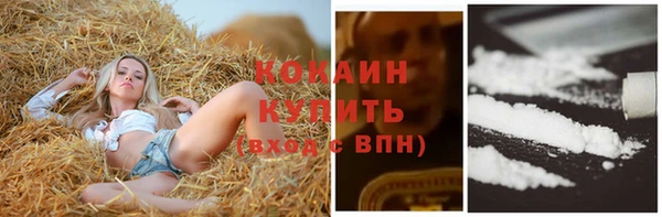 ECSTASY Мегион