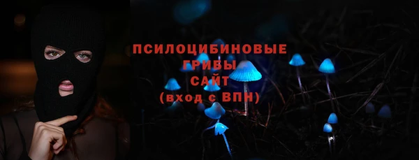 дмт Медногорск