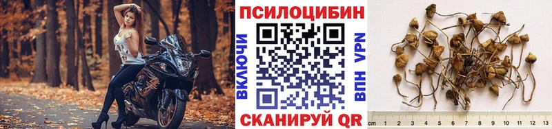 Псилоцибиновые грибы Cubensis  darknet состав  Краснообск  хочу  